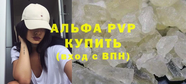 PSILOCYBIN Аркадак