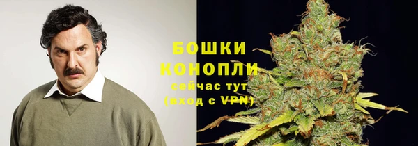 PSILOCYBIN Аркадак
