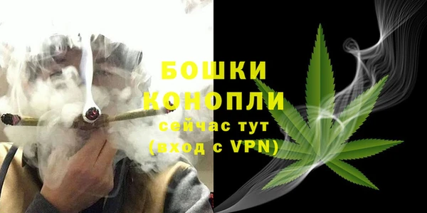 PSILOCYBIN Аркадак