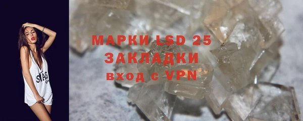 PSILOCYBIN Аркадак