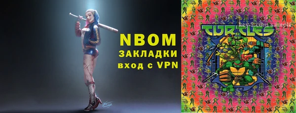 PSILOCYBIN Аркадак