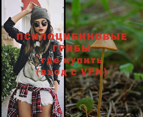PSILOCYBIN Аркадак